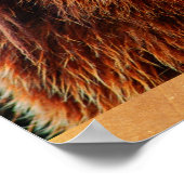 Schöner brauner Bär Portrait Wildlife Foto Poster (Ecke)