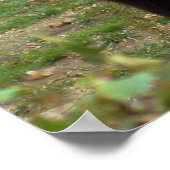 Schöner brauner Grizzlybär Poster (Ecke)