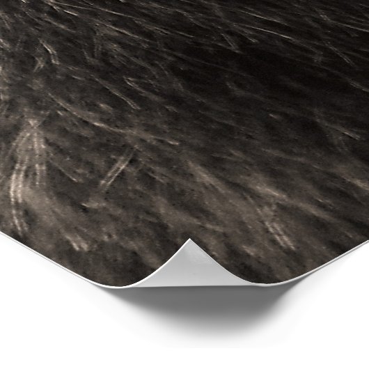 Schöner brauner Grizzlybär Poster (Ecke)