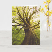 Schöner Buchen-Baum Karte (Gelbe Blume)