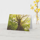 Schöner Buchen-Baum Karte (Gelbe Blume)