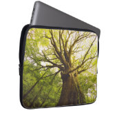 Schöner Buchen-Baum Laptopschutzhülle (Vorne Rechts)