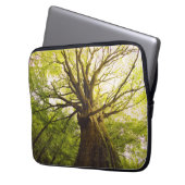 Schöner Buchen-Baum Laptopschutzhülle (Vorderseite Links)