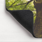Schöner Buchen-Baum Mousepad (Ecke)