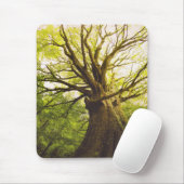 Schöner Buchen-Baum Mousepad (Mit Mouse)