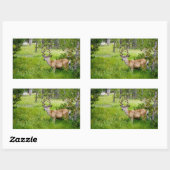 Schöner Buck im Wiese Sticker (Blatt)