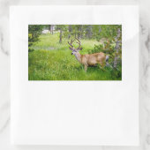 Schöner Buck im Wiese Sticker (Tasche)