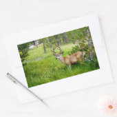 Schöner Buck im Wiese Sticker (Umschlag)