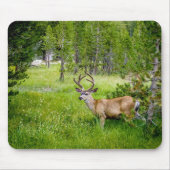 Schöner Buck im Wiesen Mousepad (Vorne)