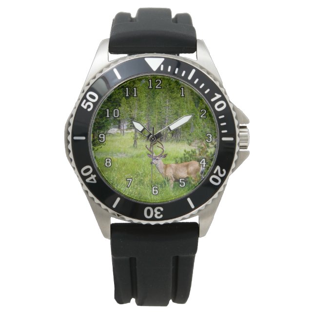 Schöner Buck in der Wiese eWatch Armbanduhr (Vorderseite)