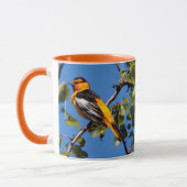 Schöner Bullock's Oriole Songbird im Birnbaum Tasse (Links)