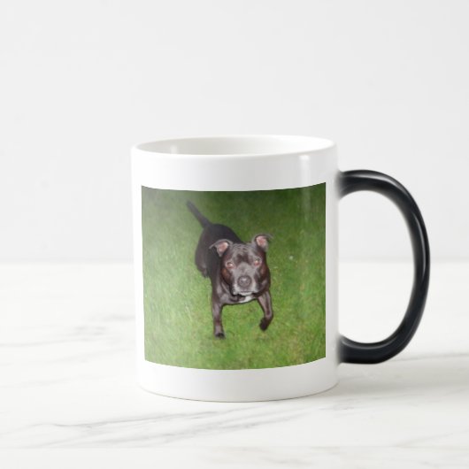 Schöner Bullterrier Verwandlungstasse (Rechts)