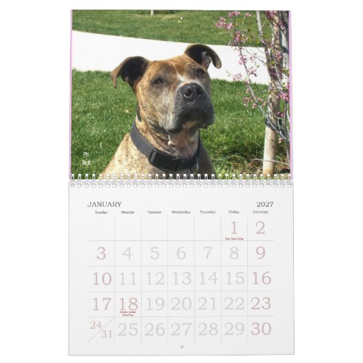 Schöner Bullys 2011 Hundekalender Kalender (Jan 2027)