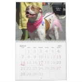Schöner Bullys 2011 Hundekalender Kalender (Mär 2027)