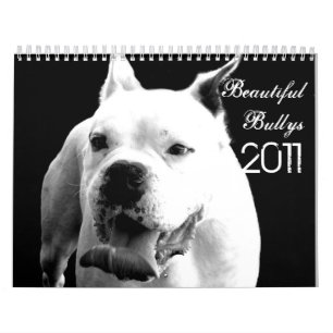 Schöner Bullys 2011 Hundekalender Kalender