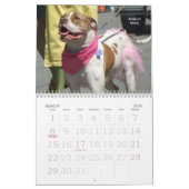 Schöner Bullys 2011 Hundekalender Kalender (Mär 2026)