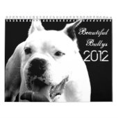 Schöner Bullys 2012 Hundekalender Kalender (Titelbild)