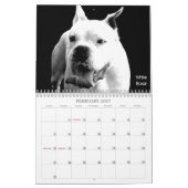 Schöner Bullys 2012 Hundekalender Kalender (Feb 2027)