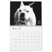Schöner Bullys 2013 Hundekalender Kalender (Feb 2027)