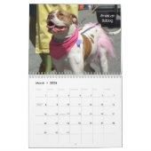Schöner Bullys 2014 Hundekalender Kalender (Mär 2026)