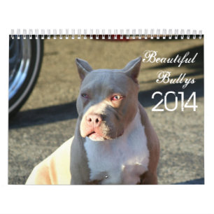 Schöner Bullys 2014 Hundekalender Kalender