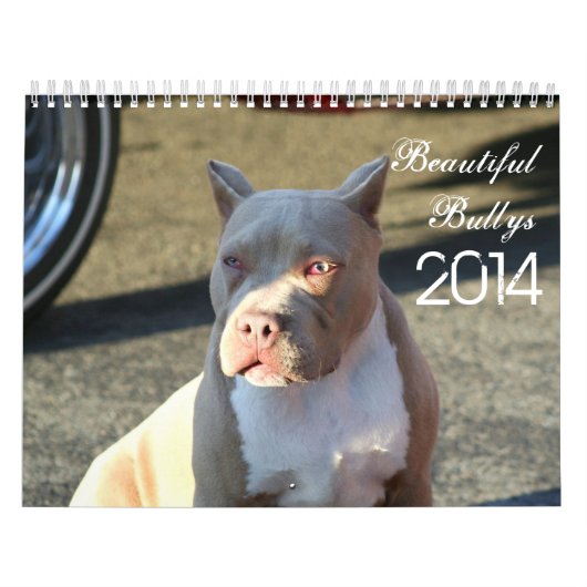 Schöner Bullys 2014 Hundekalender Kalender (Titelbild)