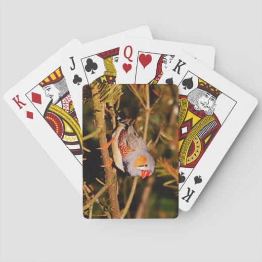 Schöner Bunter Zebrafinkenvogel Spielkarten (Rückseite)