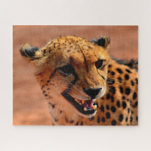 Schöner Cheetah Predator, Jigsaw Puzzle