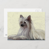 Schöner Chinesischer Puffsack Postkarte (Vorne/Hinten)