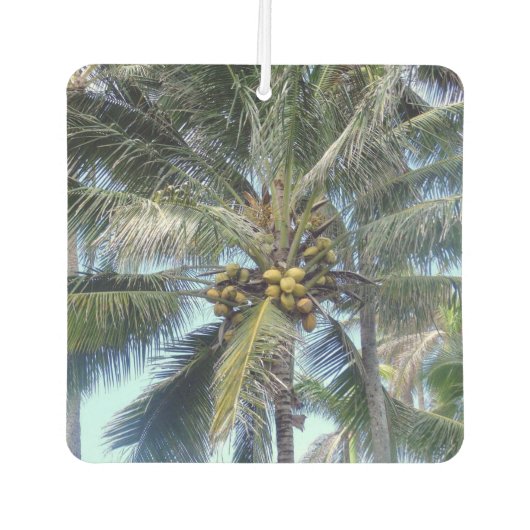 Schöner Coconuts Autolufterfrischer (Vorderseite)
