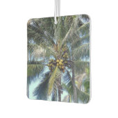 Schöner Coconuts Autolufterfrischer (Links)