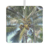 Schöner Coconuts Autolufterfrischer (Rückseite)