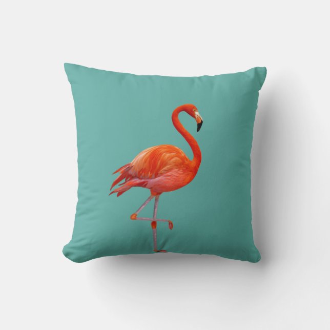 Schöner Coral Pink Flamingo auf Aquamarin Kissen (Vorderseite)
