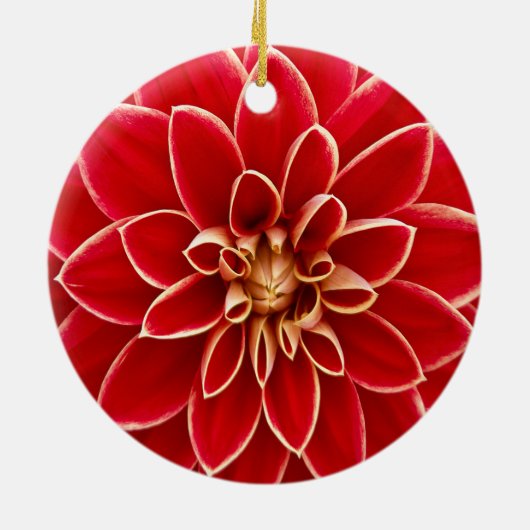 Schöner Dahlie-Blumen-Blumenblatt-Entwurf Keramikornament (Hinten)