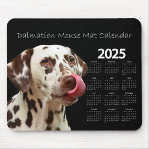 Schöner Dalmatiner Hund 2025 Kalender Mousepad