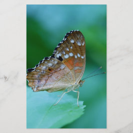 Schöner Danaus Plexippus Butterfly auf dem Leaf. Briefpapier