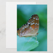 Schöner Danaus Plexippus Butterfly auf dem Leaf. Briefpapier (Vorne/Hinten)