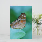 Schöner Danaus Plexippus Butterfly auf dem Leaf. Briefpapier (Stehend Vorderseite)