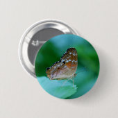 Schöner Danaus Plexippus Butterfly auf dem Leaf. Button (Vorne & Hinten)