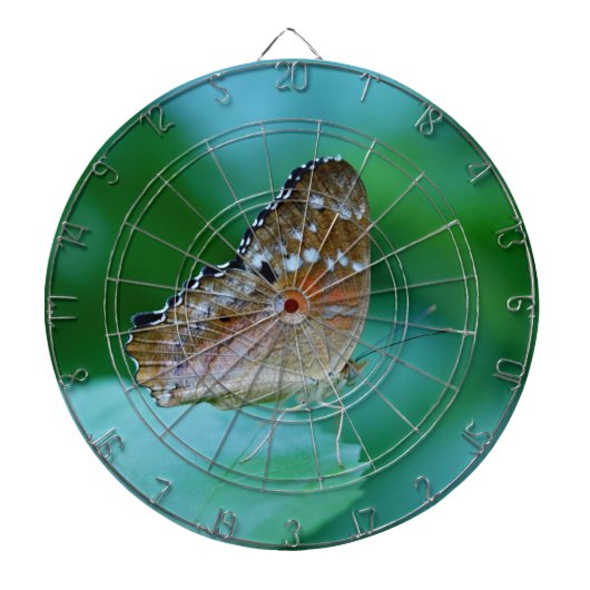 Schöner Danaus Plexippus Butterfly auf dem Leaf. Dartscheibe (vorne)