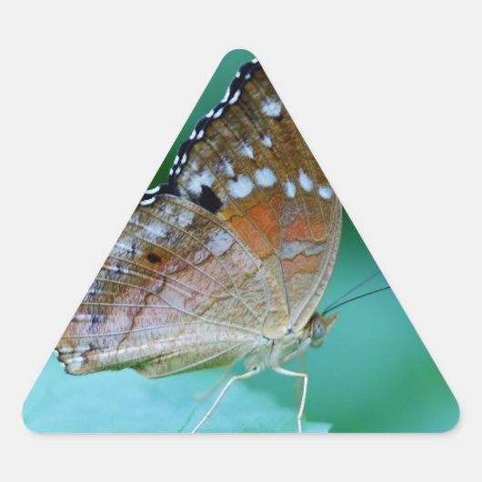 Schöner Danaus Plexippus Butterfly auf dem Leaf. Dreieckiger Aufkleber (Vorderseite)