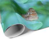 Schöner Danaus Plexippus Butterfly auf dem Leaf. Geschenkpapier (Rolleneckpunkt)