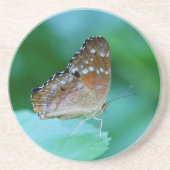Schöner Danaus Plexippus Butterfly auf dem Leaf. Getränkeuntersetzer (Vorne)