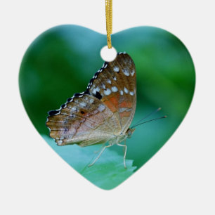 Schöner Danaus Plexippus Butterfly auf dem Leaf. Keramikornament