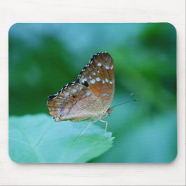 Schöner Danaus Plexippus Butterfly auf dem Leaf. Mousepad