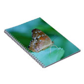 Schöner Danaus Plexippus Butterfly auf dem Leaf. Notizblock (Rechte Seite)