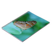 Schöner Danaus Plexippus Butterfly auf dem Leaf. Notizblock (Linke Seite)