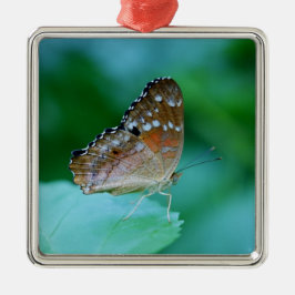 Schöner Danaus Plexippus Butterfly auf dem Leaf. Ornament Aus Metall