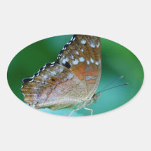 Schöner Danaus Plexippus Butterfly auf dem Leaf.