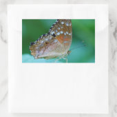 Schöner Danaus Plexippus Butterfly auf dem Leaf. Rechteckiger Aufkleber (Tasche)
